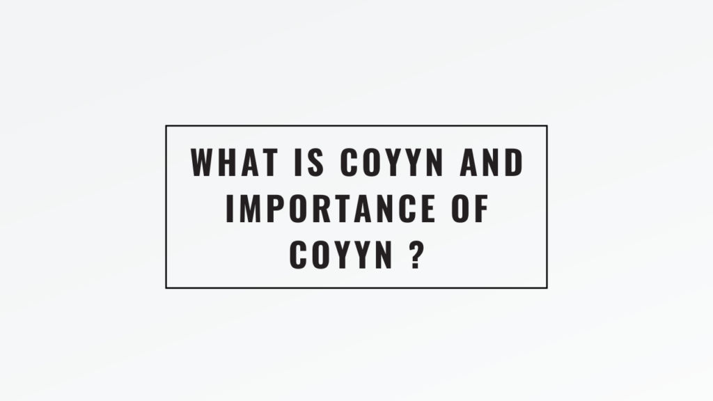 What is Coyyn and Importance of Coyyn ?