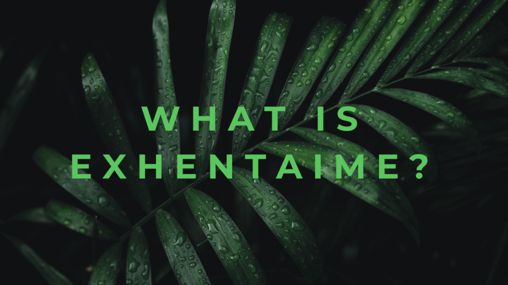 What is Exhentaime?